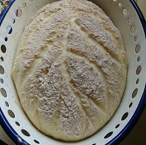 DOMAĆI HLEB SA PŠENIČNIM I SPELTINIM BRAŠNOM