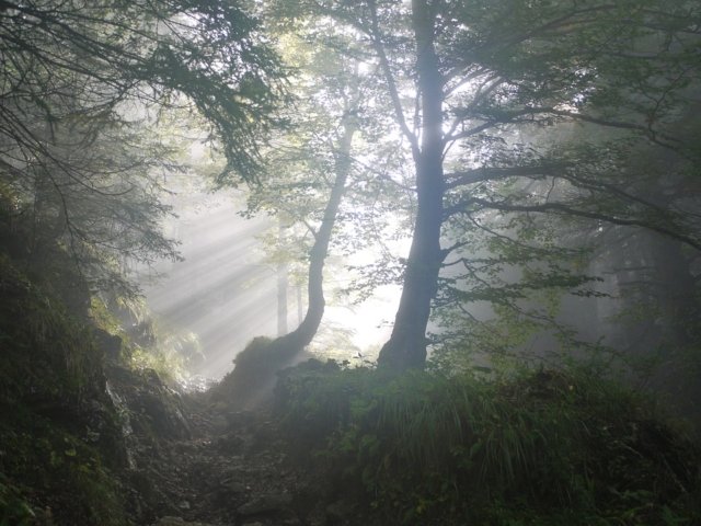 JUTRO KOJE MENJA SVE