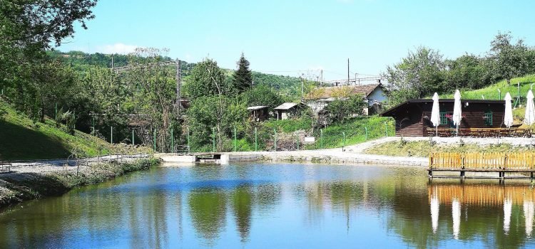 Savršen spoj prirode i čoveka – Eko Park
