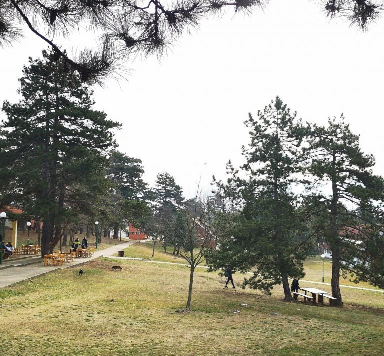Deliblatska peščara