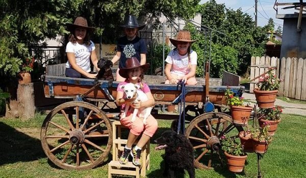 Idealan poklon za celu porodicu