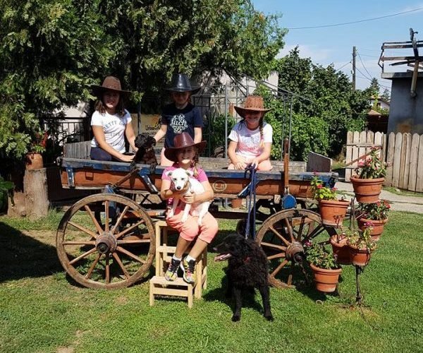 Idealan poklon za celu porodicu