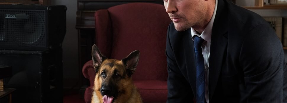 Druga sezona čuvene serije na kanalu DIVA: HADSON I REKS
