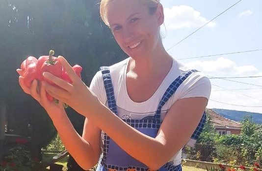 AJVAR JE „ CRVENO ZLATO“ MOGA KRAJA!