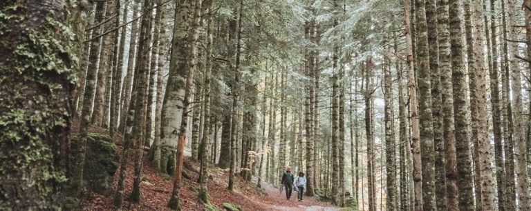 Boravak u prirodi kao lek: Najatraktivnija mesta za izlete u Zapadnoj Srbiji