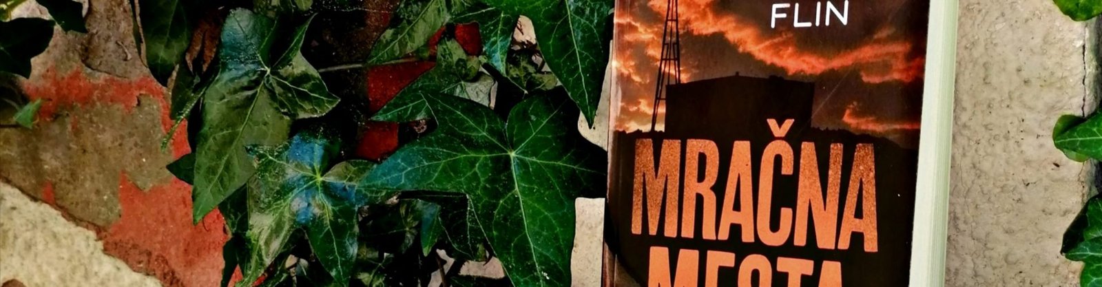 Čitamo: „Mračna mesta“ – Džilijen Flin
