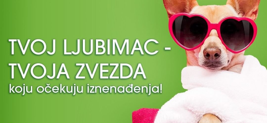 Zeleni utorak uz popuste i kućne ljubimce u ADA MALL-u