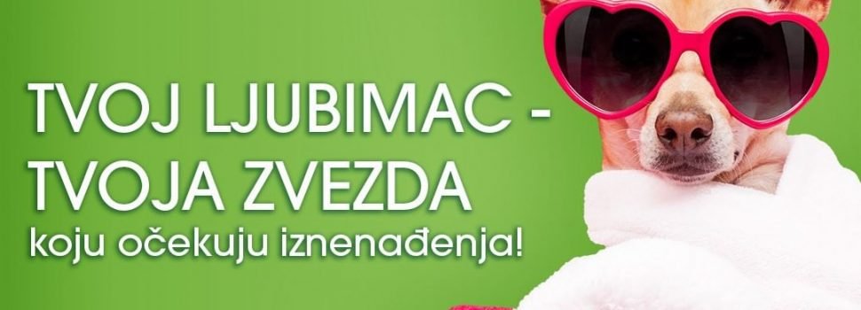 Zeleni utorak uz popuste i kućne ljubimce u ADA MALL-u