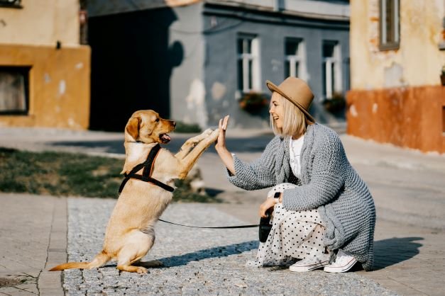 Na koji način kućni ljubimci utiču na naše bolje raspoloženje