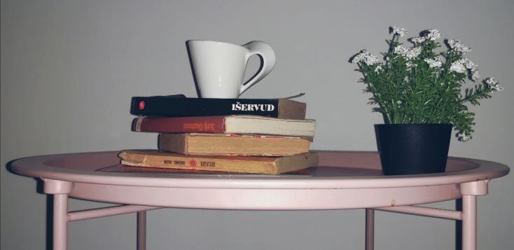 Knjige koje smo otkrili zahvaljujući bukstagramu