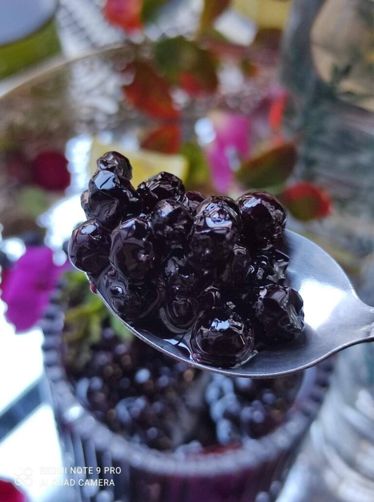 Spremamo slatko, a zdravo: Slatko od sibirske aronije