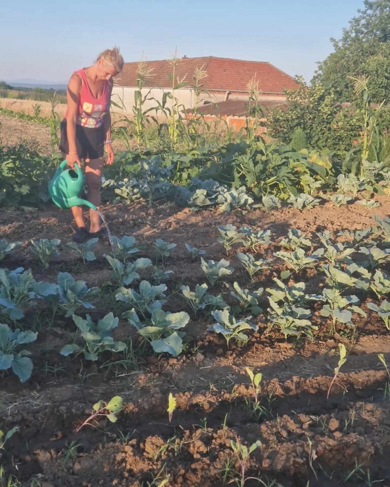 Njena lepa bašta i 3 pravila za uspešno održavanje! Priča iz Šumadije!