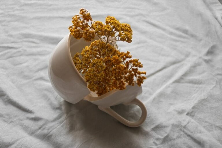 Odluka – da li izobilje zaglupljuje?